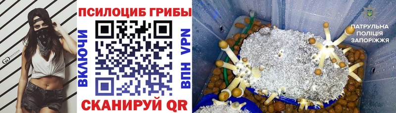 мега ТОР  Каменка  Галлюциногенные грибы Magic Shrooms 